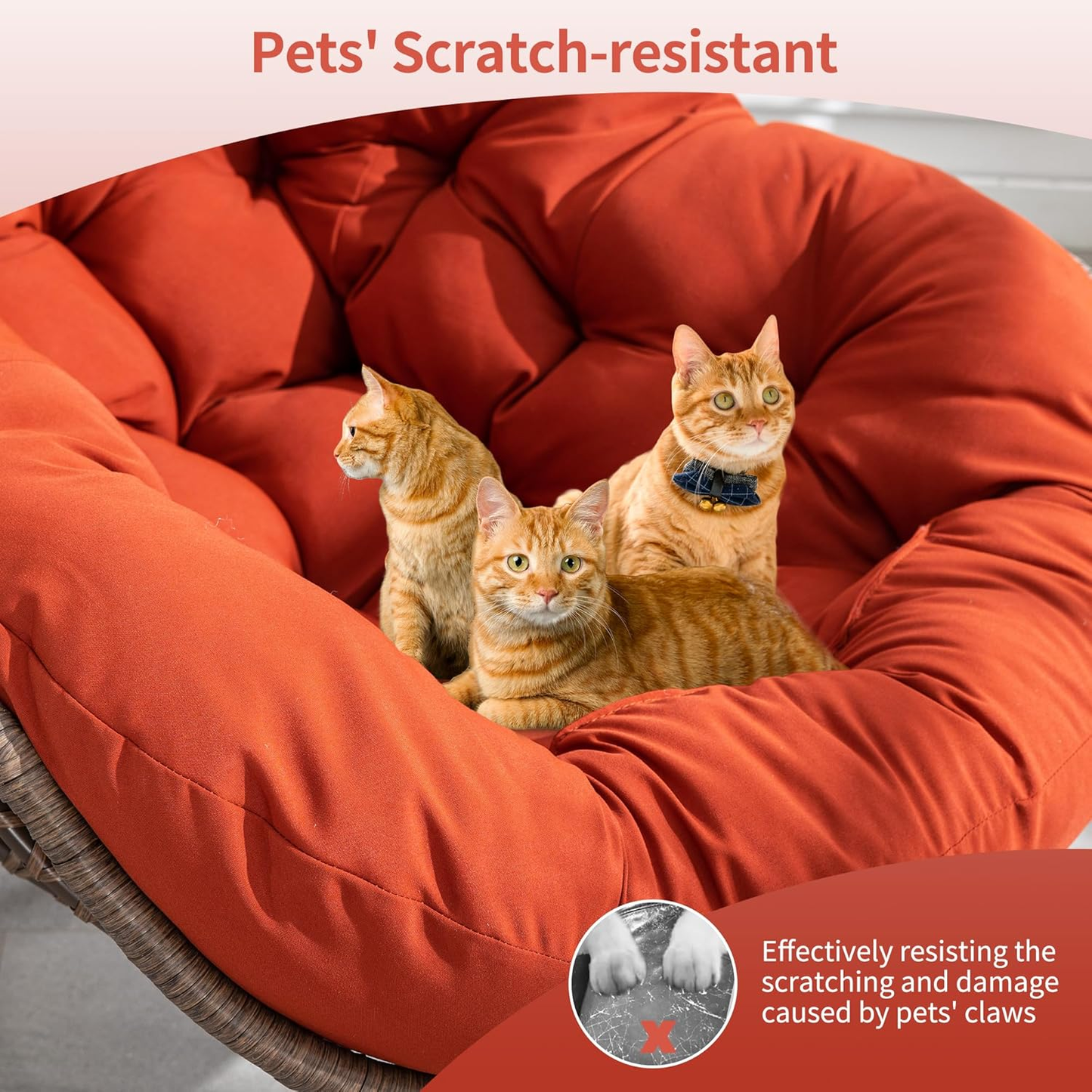 [CAILOVER]Rocking chair with cushion & free shipping